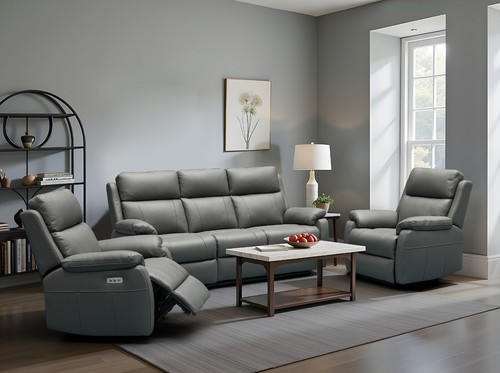 Dark grey full leather - grey,